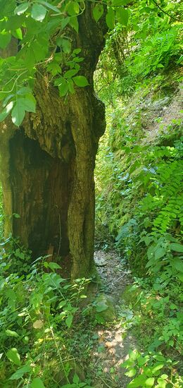 Hier ein eher wegsames Stück zur Serra runter. Das ist nicht immer so.