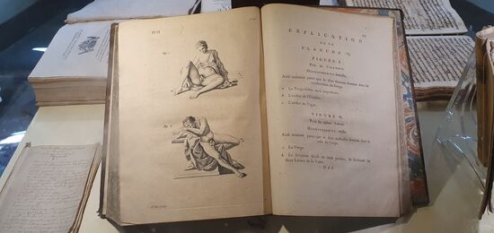 Das wollten wir doch schon immer wissen.