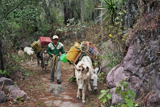 Auf dem uralten Handelspfad herrscht reger Betrieb
