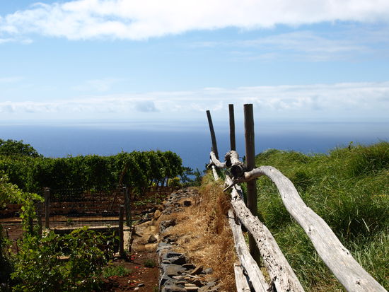 Einer der zauberhaften Ausblicke aus dem Dorf Lobada Velha.