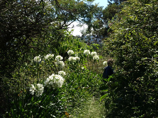 Wo ist der Weg? Und wo ist Urban?