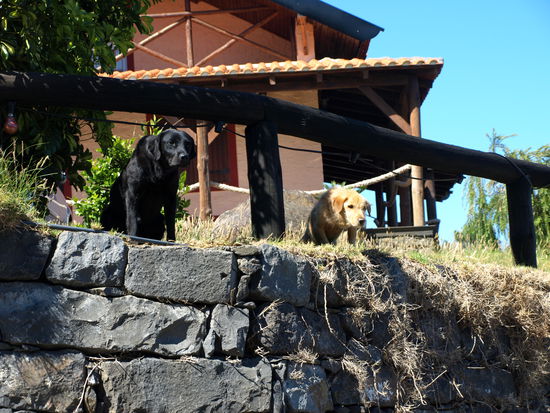 Begegnungen unterwegs.