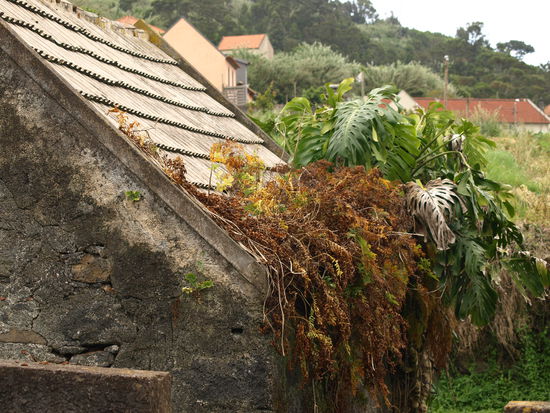Noch eins der verlassenen Häuser des Ortes.