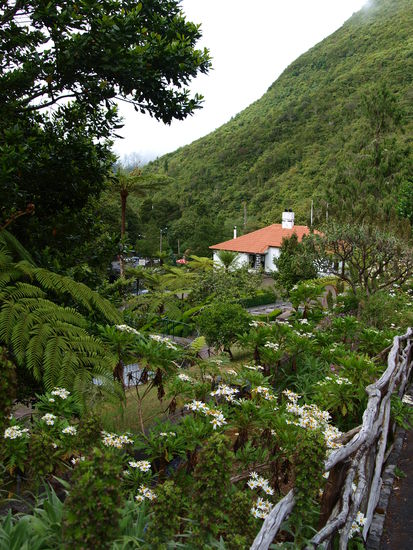 Die Forellenzucht von Ribeiro Frio.
