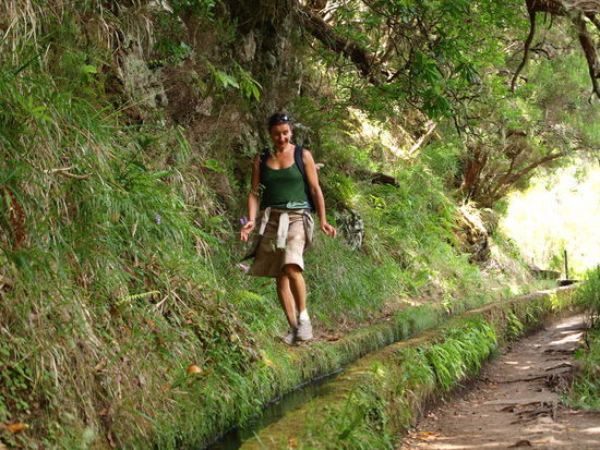 Die Levada der 25 Quellen entlang.