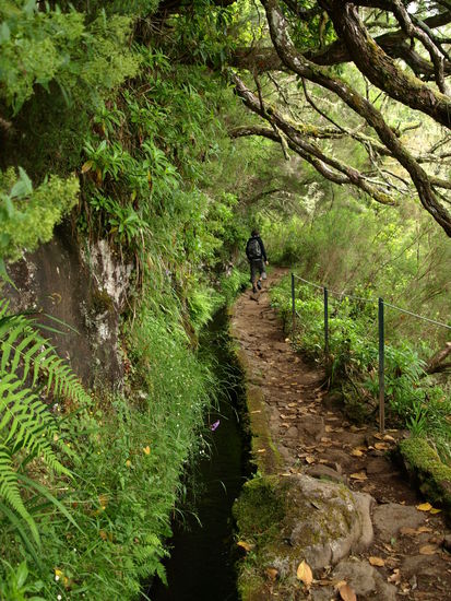 Alles im grünen Bereich.