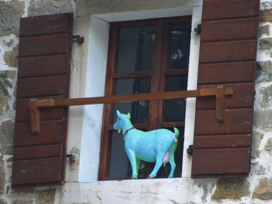Eine Ziege im Fenster? In Groznjan ist alles möglich.