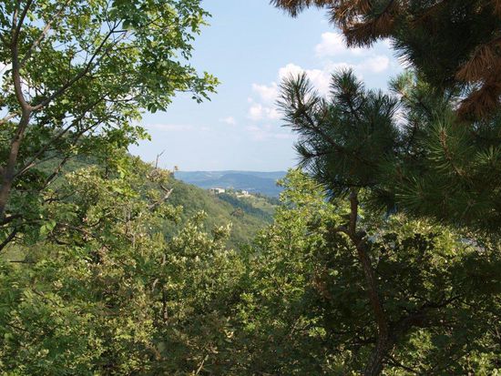 Das Örtchen in der Ferne könnte Motovun sein.