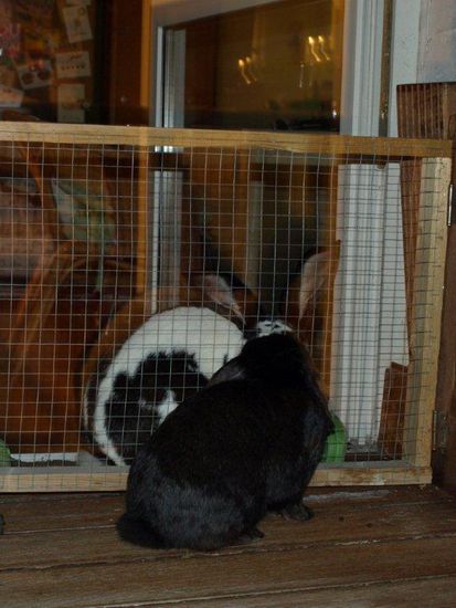 Arno wirkt gegen Tonci winzig. Eine neue, höhere Tür gibt es inzwischen auch.