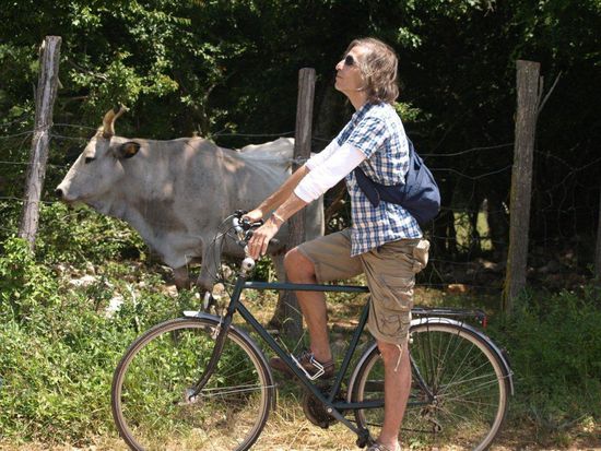 Der Herrenreiter und das Rindvieh.