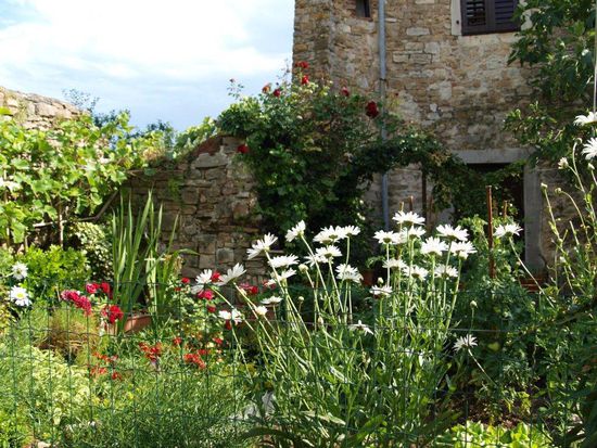 Der schönste Garten in Motovun vereint alles auf kleinstem Raum, was Auge und Gaumen brauchen. 