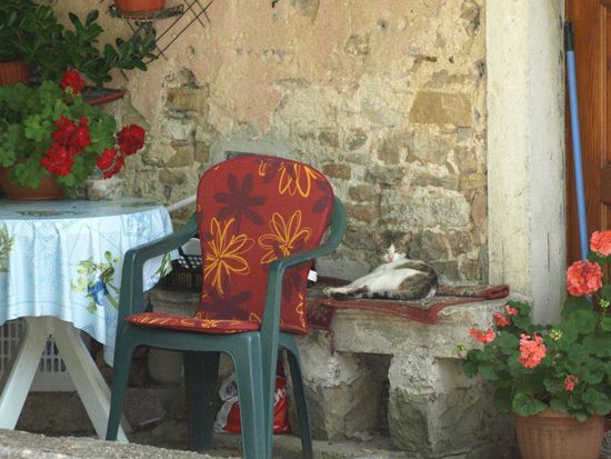 Türwächter in Motovun.