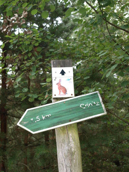 Einige Kilometer des Feldhasenwegs sind unversehrt.