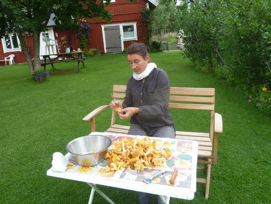 Macht Arbeit, schmeckt aber (Foto: A. Braun).