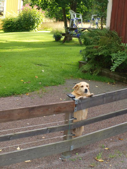 Abschied auch von Sophie. Im Oktober sehen wir uns wieder