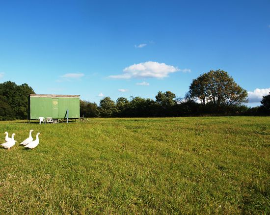 Schlafzimmer auf der grünen Wiese.