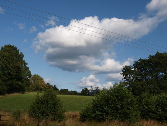 Das ist der Ausblick.