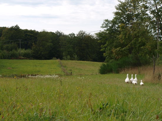 Ausblick nach vorne.