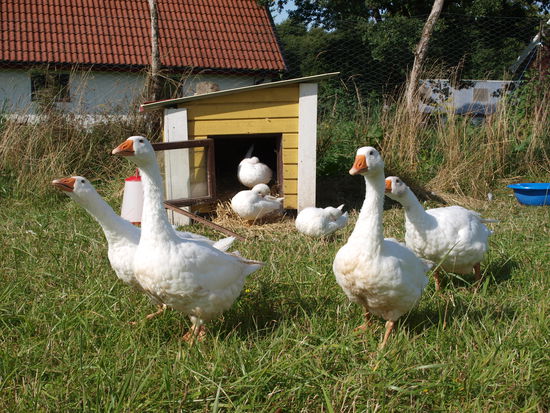 Und das ist die Nachbarschaft!