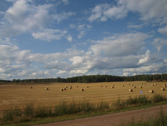 Gepflegte schonische Langeweile.