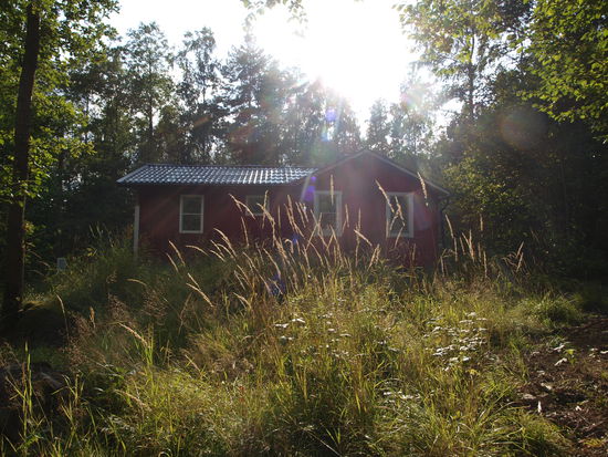 Das Haus im Wald, von hinten.