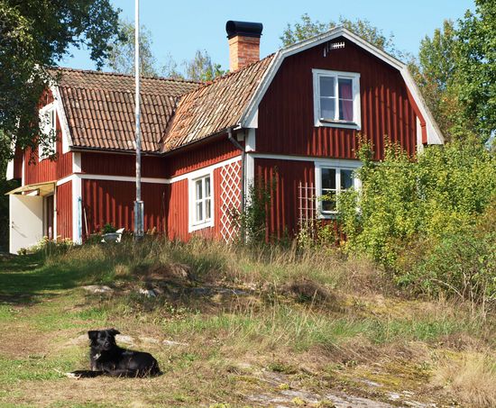 Es gibt selten ein ganz gerades Stück Land, sondern immer erhebt sich irgendwo ein kleiner Steinrücken.