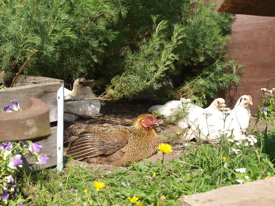 Es gibt durchaus romantische Ecken (vorteilhaft fotografiert).