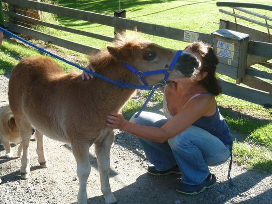 Überraschender Besuch (Foto: A. Braun).