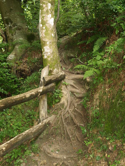 Fast ein bisschen tropisch. Und genauso warm.