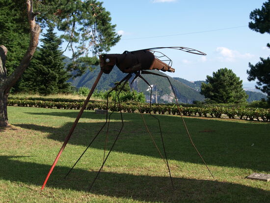 Sinnbild für eine allgegenwärtige Plage.