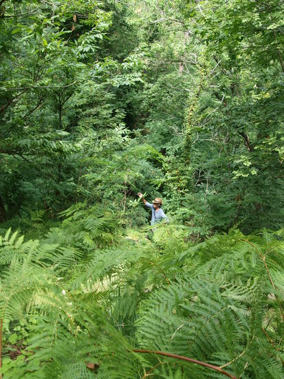 Kampf durch die grüne Hölle.