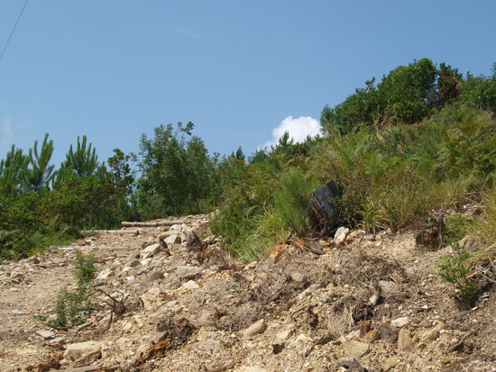 Höher hinauf geht es hier nicht mehr.
