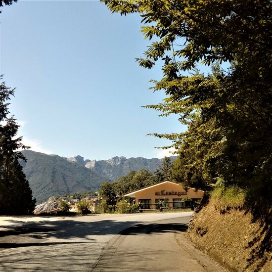 Nicht nur ein Bild, sondern eine Verheißung!