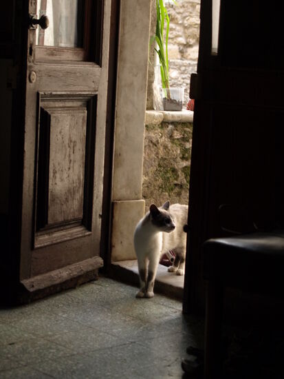 Wehret den Anfängen!