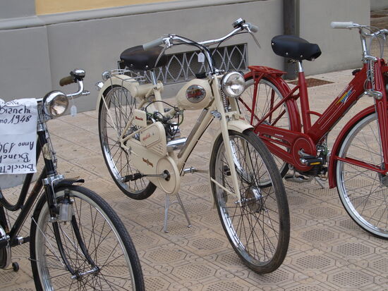 Diese sind etwas teurer.