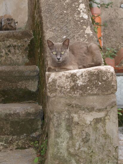 Unser kleiner Mauerwächter ist wieder da.