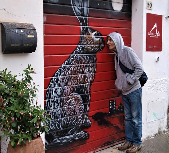 Warum ich dem Hasen die Ohren abgeschnitten habe, ist mir ein Rätsel ....