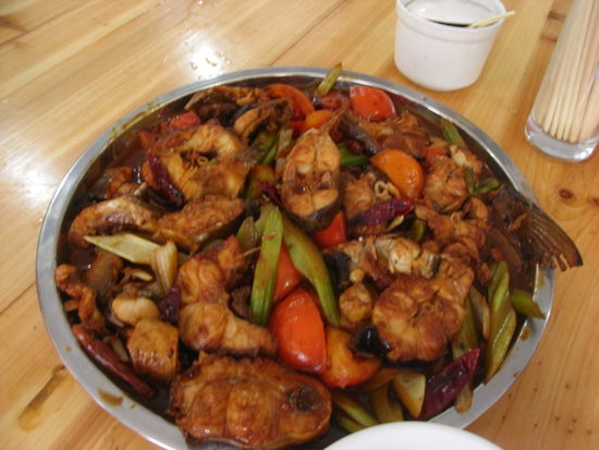 pijiu yu - Bierfisch