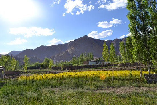 Auf dem Weg zu Sankar Gompa