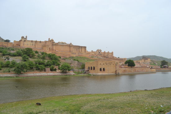 Amber Fort