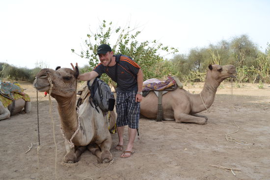 Ein Sebi und ein Dromedar