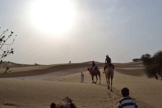 dem Sonnenuntergang entgegen..