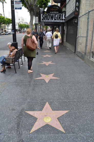 Von den ganzen Stars kennen wir vielleicht maximal 20%