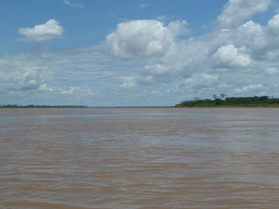 Amazonas in seiner vollen Pracht