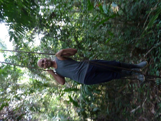 Tarzan light
Unser Guide hat uns ein paar echt nuetzliche Pflanzen gezeigt, darunter eine Baumrinde, die antiseptisch wirkt und bei Mueckenstichen wahre Wunder bewirkt. Das Jucken hoerte umgehend auf. Am liebsten wuerde ich mir diesen Baum in den Garten stellen!!
Nachts sind wir dann ebenfalls in den Dschungel, mit Taschenlampen bewaffnet, um die weniger schoenen Tiere zu erkunden. Ein Heidenlaerm des Nachts kann ich euch versichern.