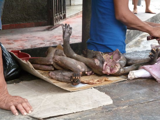 der arme Kerl war wohl auch zu langsam....oder zu neugierig