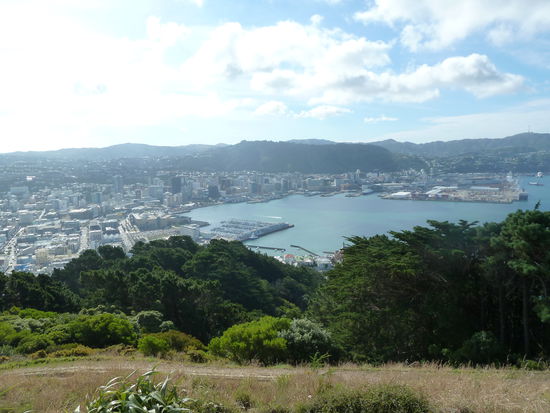 Wellington vom Mt. Victoria aus gesehen