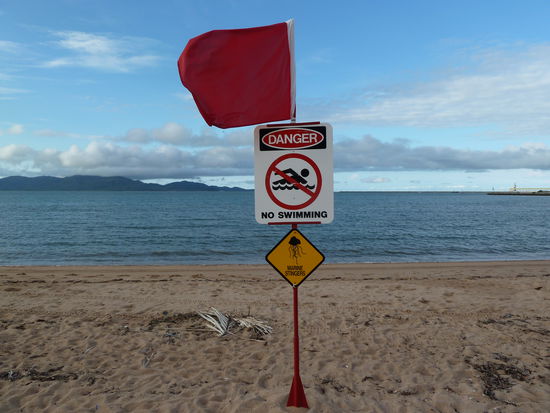 So sahs in grossen Teilen der Ostkueste aus: "schwimmen verboten", weil kleine fiese Killer- Quallen unterwegs waren.