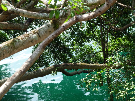 sach ich ja: gruen-blaues Wasser!