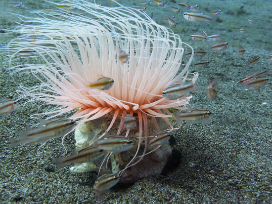 Hab ichs schon erwaehnt?...ich liebe diese Kamera!!!